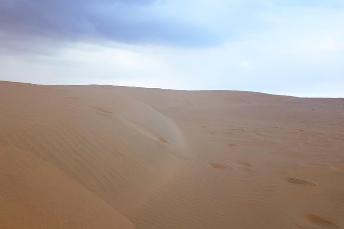 4 Days Tour In Doha | City Tour | North Tour | Desert Safari | West Tour - Day three: Fishing towns, mangroves, and Al Zubara
