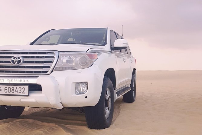 4 Days Tour In Doha | City Tour | North Tour | Desert Safari | West Tour - Day four: Camels, sculpture, and the Zekreet peninsula