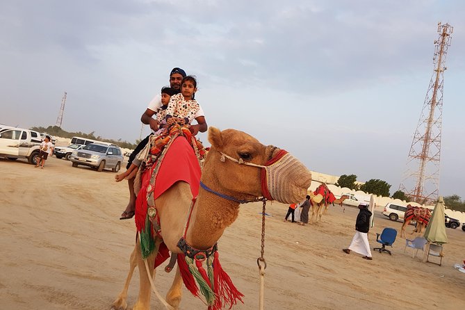 4 Hour Desert Safari, Camel Ride & Inland Sea Beach - Guides can make or break the day