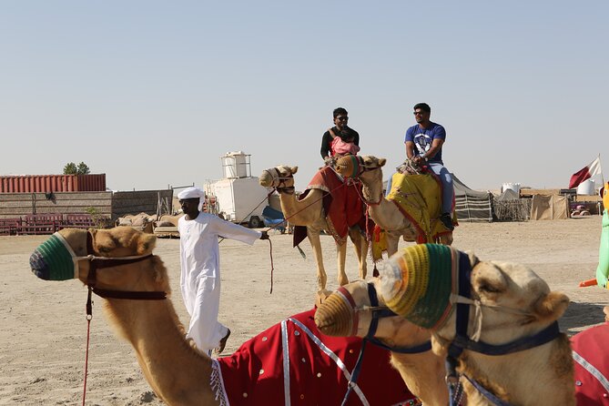4 Hour Desert Safari, Camel Ride & Inland Sea Beach - The dune-bashing ride is the main event