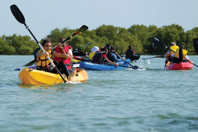 4 Hours Purple Island Mangroves Kayaking Adventure in Qatar - Key points to know before booking