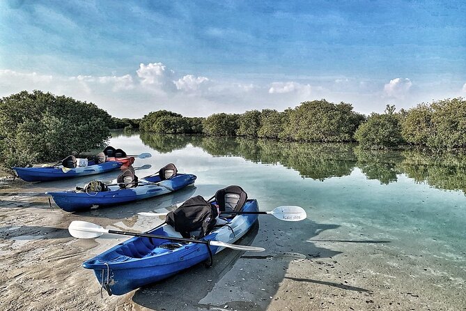 4 Hours Purple Island Mangroves Kayaking Adventure in Qatar - Birds, crabs, and the quiet side of Qatar
