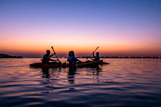 4 Hours Purple Island Mangroves Kayaking Adventure in Qatar - What the private format adds