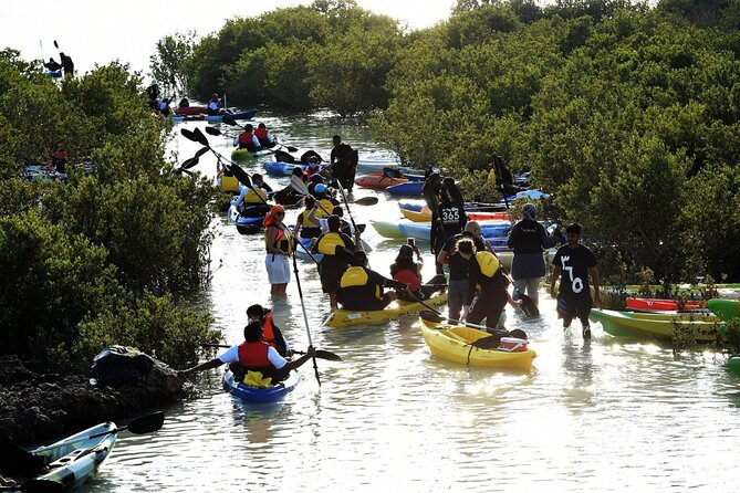 4 Hours Purple Island Mangroves Kayaking Adventure in Qatar - Is $120 per person a fair price?
