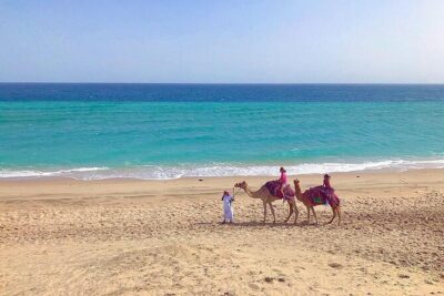 Safari, Camel Ride, Sandboarding and Inland Sea Tour