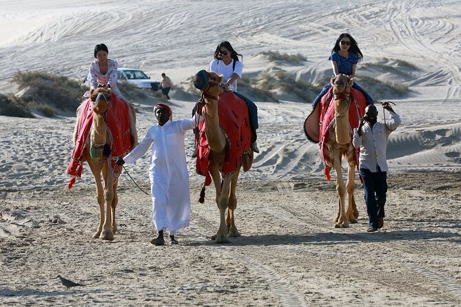 Al Majles Resort Day Pass - Indoor Comfort When the Sun Gets Strong