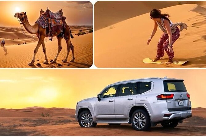 Camel Safari in Desert with Pickup and Drop off in Doha - Why a camel ride still matters in Qatar
