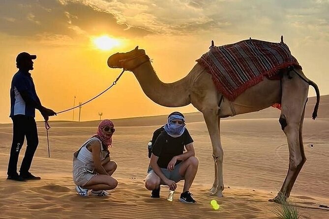 Camel Safari in Desert with Pickup and Drop off in Doha - Guides are a major part of the value