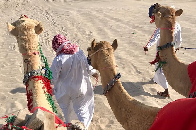 Camel trekking on the Dunes with Sunset - Is $101 per person a fair price?