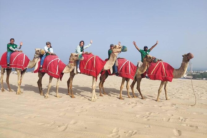Camel trekking on the Dunes with Sunset - The camel ride: 30 minutes across the dunes