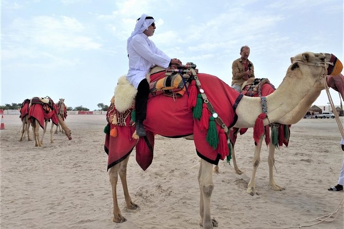 Combo Culture & Adventure: North Qatar Heritage & Desert Safari - Leaving Doha in a Private 4x4