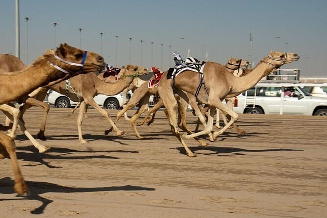 Combo West and North of Qatar Tour - Ash-Shahaniyah and traditional Qatari life