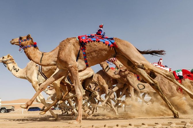 Cultural & Thrills: Sheikh Faisal Museum & Camel Race Adventure - Is $119 a fair price?