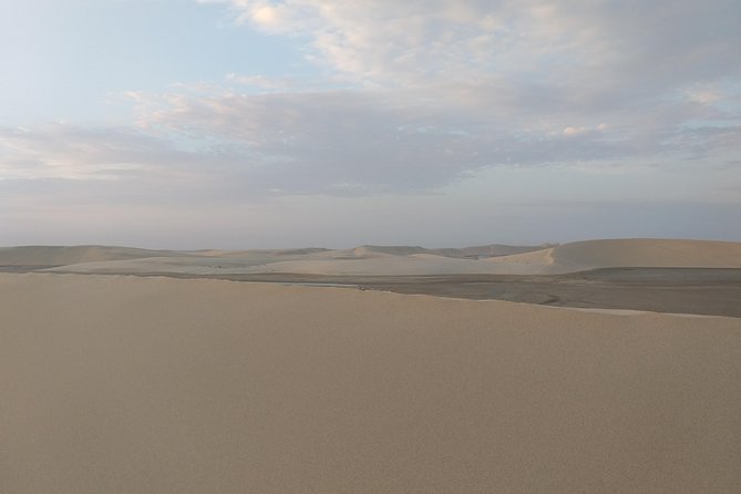 Desert Combo safari, Camel ride, Quad Bike and Dune Bashing(ALL INCLUSIVE) - Why This Desert Combo Works for a Short Doha Visit