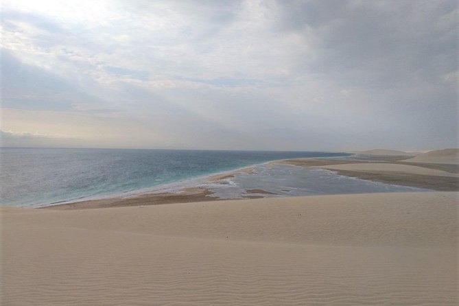 Desert Combo safari, Camel ride, Quad Bike and Dune Bashing(ALL INCLUSIVE) - Dune Bashing Across the Sand