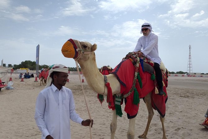 Desert Combo safari, Camel ride, Quad Bike and Dune Bashing(ALL INCLUSIVE) - The Inland Sea: The Scenic Payoff