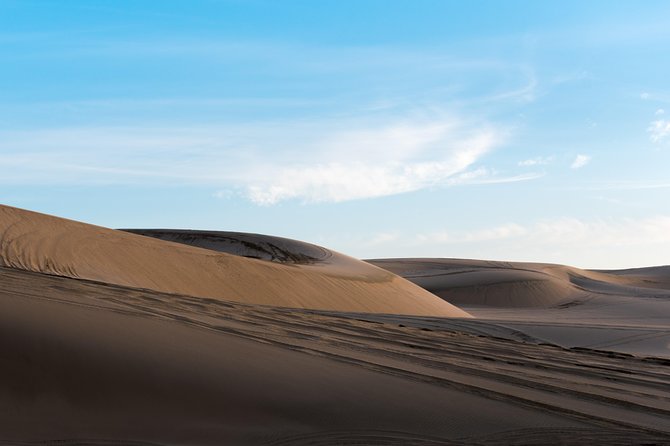Desert Combo safari, Camel ride, Quad Bike and Dune Bashing(ALL INCLUSIVE) - Guides Make the Difference