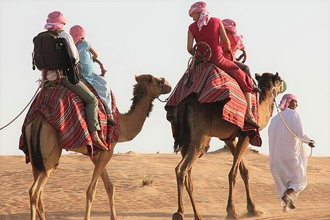 Desert Combo safari, Camel ride, Quad Bike and Dune Bashing(ALL INCLUSIVE) - Sealine Beach and the Start of the Desert Activities