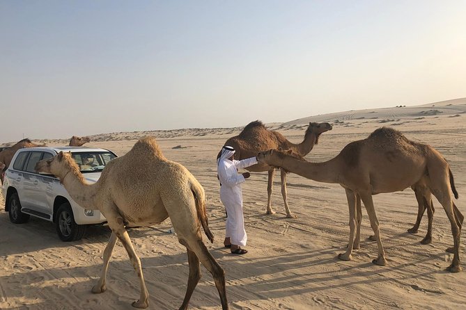 Desert Safari 7 Hours Tour with Dinner and Camp - Dinner and the desert camp