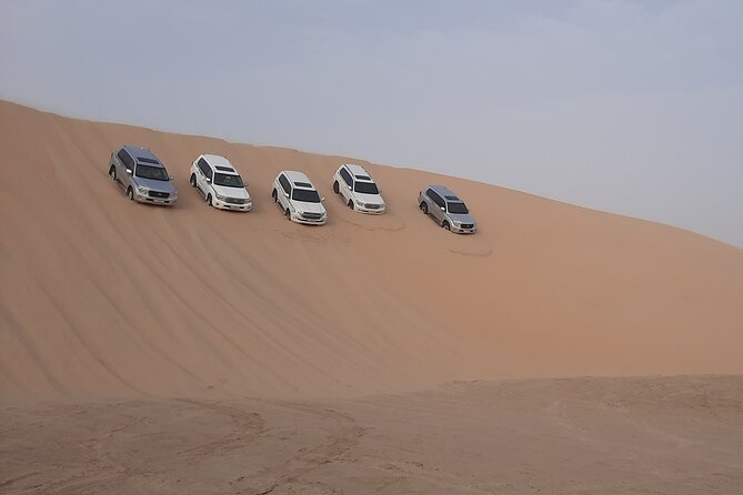 Desert Safari and Inland Sea(Private Tour) - Which guides receive the strongest praise