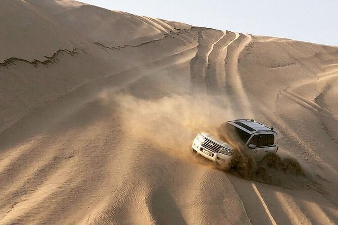 Desert Safari and Inland Sea(Private Tour) - Is four hours enough for southern Qatar?