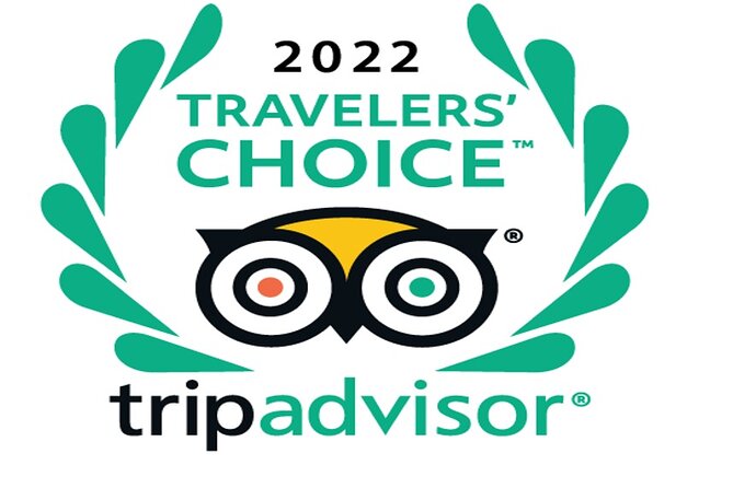 Desert safari, Dune bashing, sandboarding, camel, ATV Option - Key things to know before booking