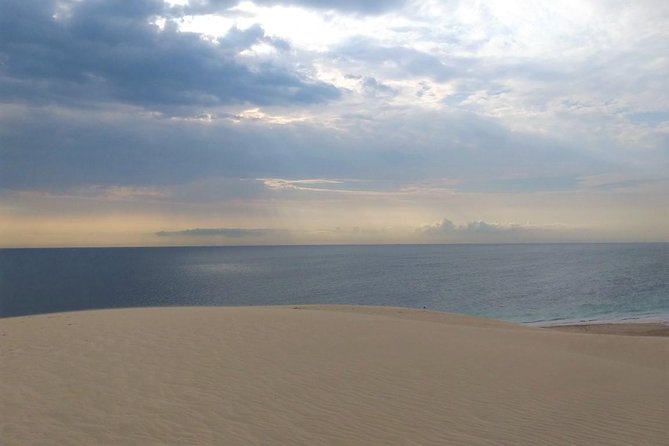Desert safari, Dune bashing, sandboarding, camel, ATV Option - A quick camel stop, not a desert trek
