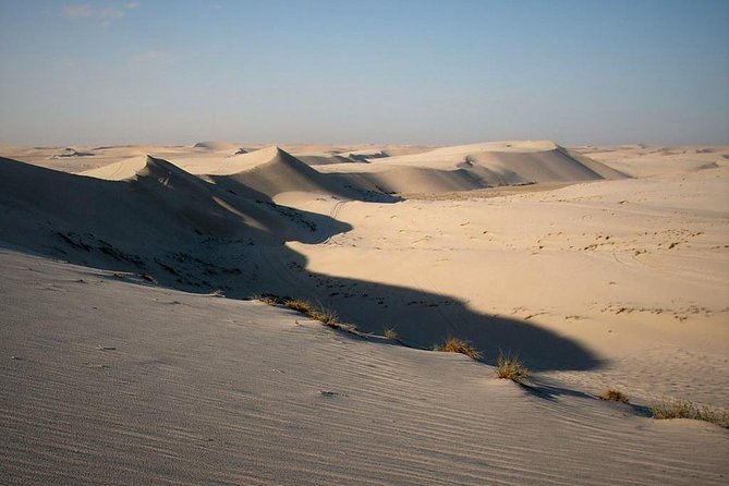 Desert safari, Dune bashing, sandboarding, camel, ATV Option - Sandboarding turns a dune into a playground