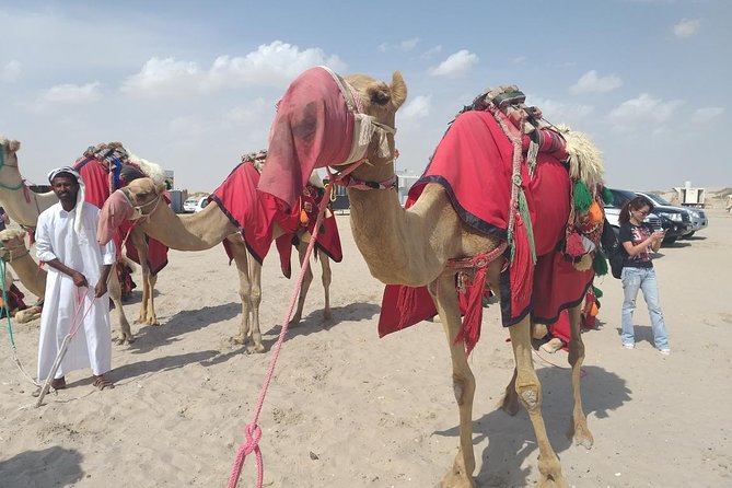 Desert safari, Dune bashing, sandboarding, camel, ATV Option - Khor Al Adaid is more than a photo stop