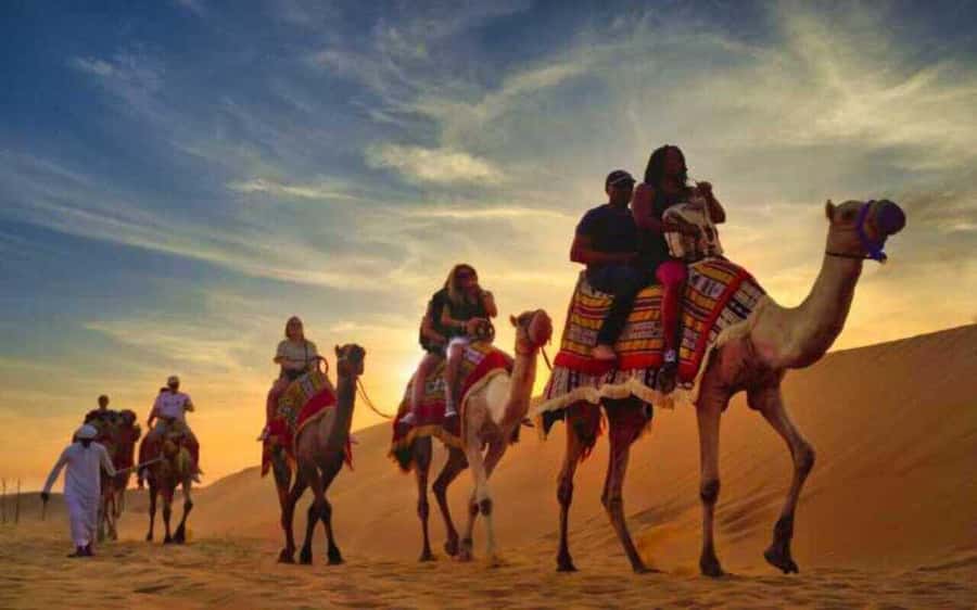 Desert Safari, Dunes Ride, Sand Boarding & Inland Sea Tour - The 45-minute drive toward Sealine
