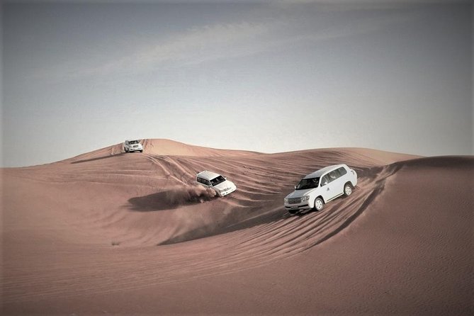 Desert Safari – Morning, Afternoon, Sunrise & Sunset Options - Why Qatar’s desert is worth your time