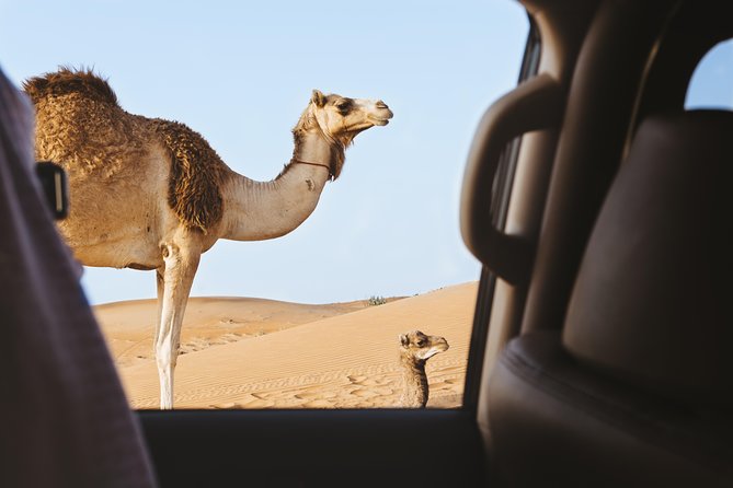 Desert Safari – Morning, Afternoon, Sunrise & Sunset Options - Sealine Beach and the preparation for dune driving