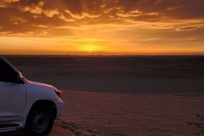 Desert Safari Qatar - Group size, timing, and practical fit