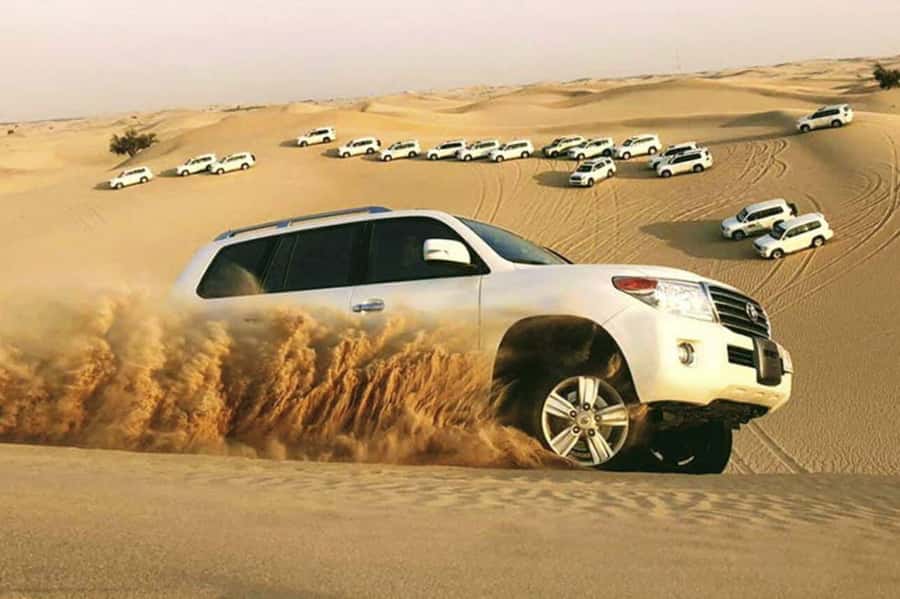 Desert Safari, Quad Bike, Camel Ride, Falcon & Sandboarding - Sealine Beach and a Short Camel Ride