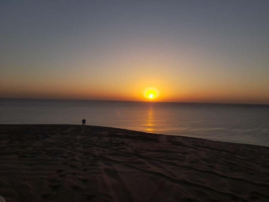Desert Safari, Quad Bike, Camel Ride, Falcon & Sandboarding - Dune Bashing Across Qatar’s Open Sand