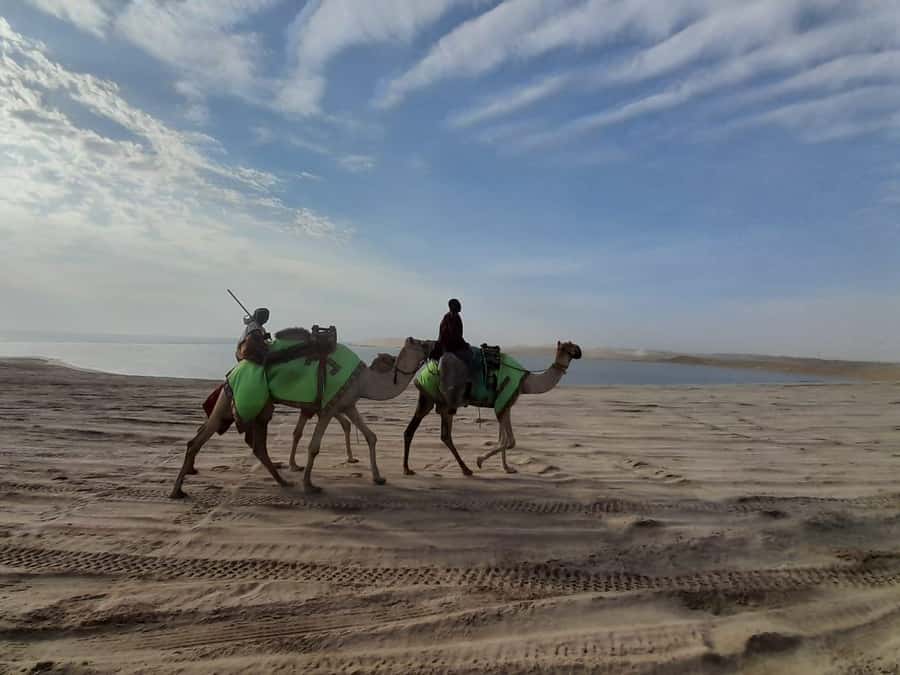 Desert Safari, Quad Bike, Camel Ride, Falcon & Sandboarding - Sandboarding From a High Dune
