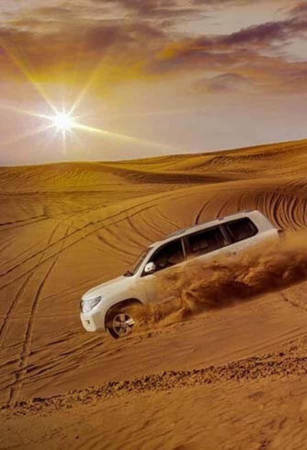 Desert Safari, Quad Bike, Camel Ride, Falcon & Sandboarding - Guides Make a Real Difference