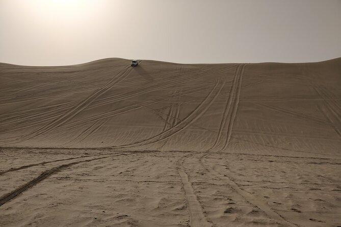 Desert Safari, Quad Bike, Sandboarding and Camel Ride - Sandboarding is easy to try, harder to master
