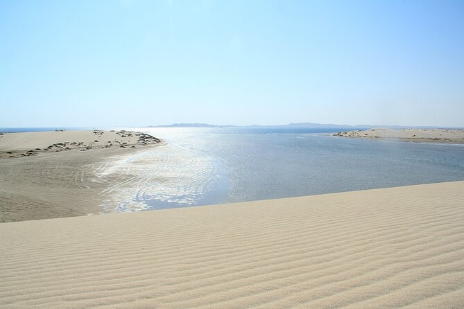 Desert Safari, Quad Bike, Sandboarding and Camel Ride - Who will enjoy this Doha desert safari?