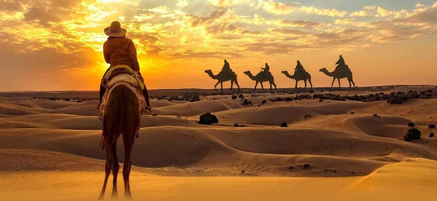 Desert Safari, QuadBike,Dune buggy, Sandboarding & CamelRide - Timing, comfort, and the real pace of the day