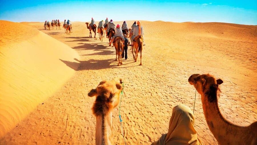 Desert Safari, QuadBike,Dune buggy, Sandboarding & CamelRide - Dune bashing is the adrenaline center