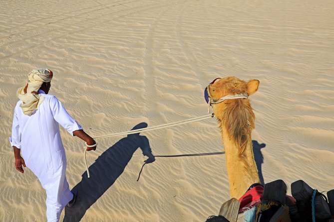 Desert Safari with Camel Ride, Sand Boarding & Inland Sea Tour in Doha - Sandboarding from the dune crest