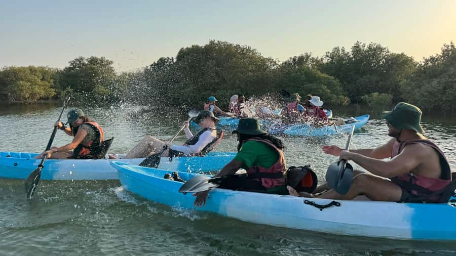 Discover Purple Island | Guided Mangrove Kayaking Experience - Two Breaks And Time At Purple Island