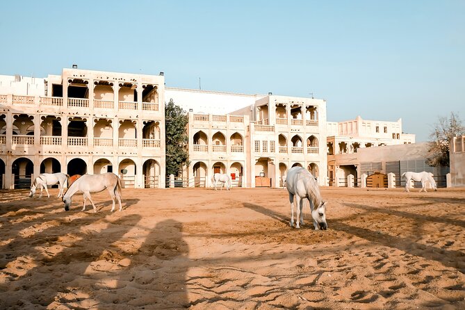Discovering Doha Qatar | Guided City Tour | Half Day - Souq Waqif is a quick taste, not a full market visit
