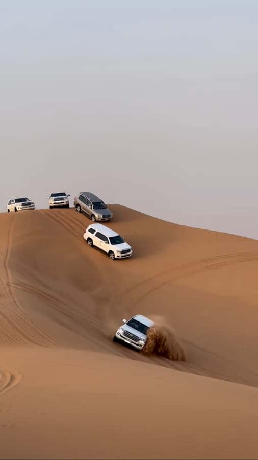 Doha Activities: Desert Safari, Dune Bashing & Inland Sea - The camel stop: traditional transport with an extra charge