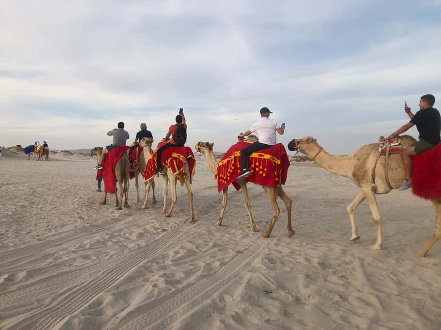 Doha Activities: Desert Safari, Dune Bashing & Inland Sea - Is $70 good value for four hours?