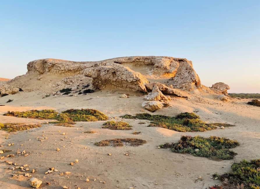 Doha: Al Zubara Fort, Al Jumail & Al Thakira Tour - Timing, pickup, and practical planning