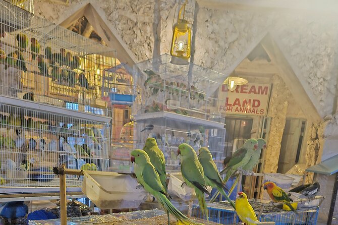 Doha All Inclusive Night City Tour with Traditional Dhow Boat - Mina District and Old Doha Port: a compact maritime stop