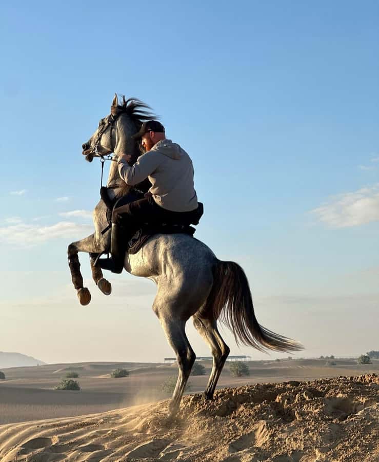 Doha : Arabian Horse Ride Experience With Pickup & Drop Off - What the private group setup means