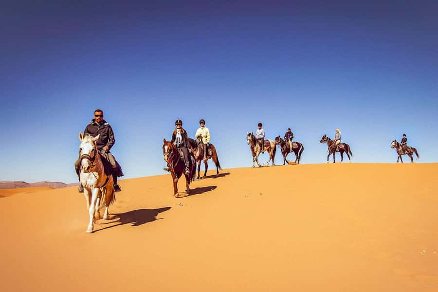 Doha : Arabian Horse Ride Experience With Transfer - Key points to know before booking